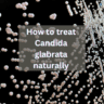 How to treat Candida glabrata naturally